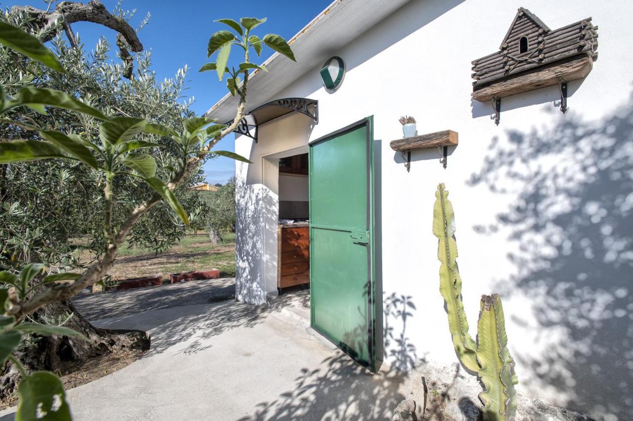 サッサリ Casa Rinaヴィラ エクステリア 写真